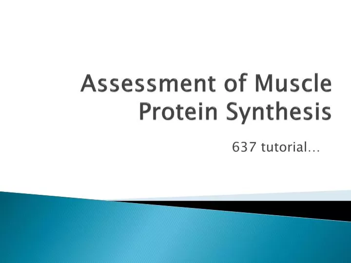 assessment of muscle protein synthesis