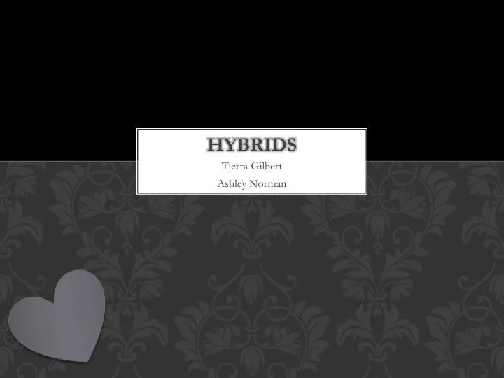 hybrids