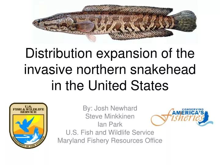 distribution expansion of the invasive northern snakehead in the united states