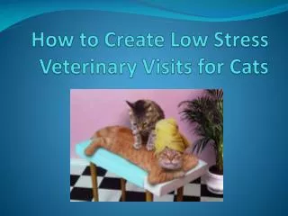 How to Create Low Stress Veterinary V isits for Cats