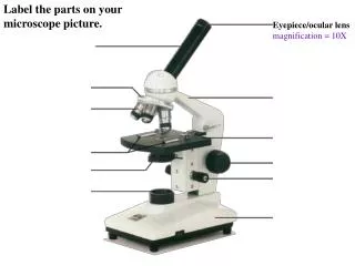 Label the parts on your microscope picture.