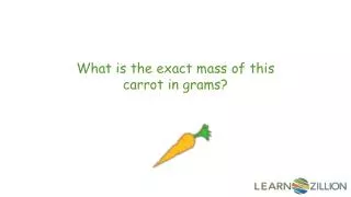 What is the exact mass of this carrot in grams?