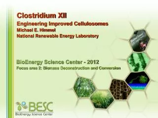 BioEnergy Science Center - 2012 Focus area 2: Bio mass Deconstruction and Conversion