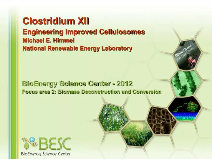 bioenergy science center 2012 focus area 2 bio mass deconstruction and conversion