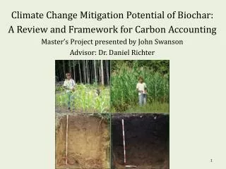 Climate Change Mitigation Potential of Biochar: A Review and Framework for Carbon Accounting