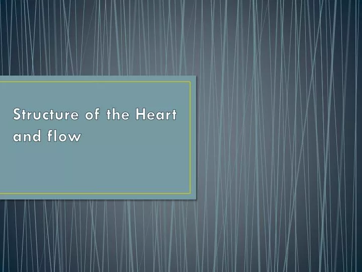 structure of the heart and flow