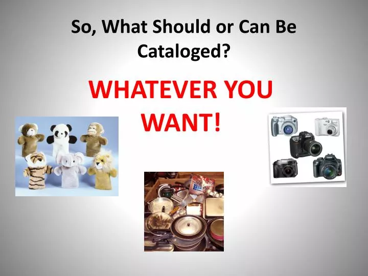 so what should or can be cataloged