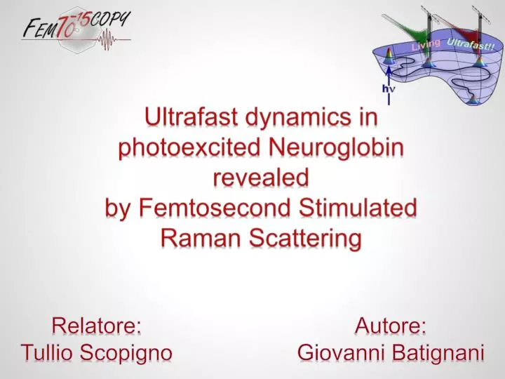ultrafast dynamics in photoexcited neuroglobin revealed by femtosecond stimulated raman scattering