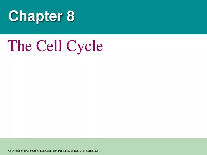 PPT - Chapter 8 PowerPoint Presentation, Free Download - ID:1888628