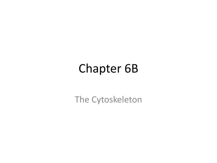 chapter 6b