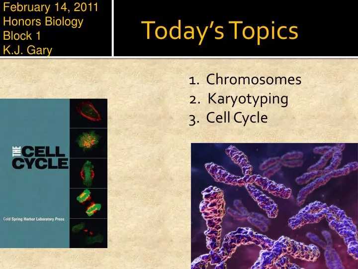 february 14 2011 honors biology block 1 k j gary