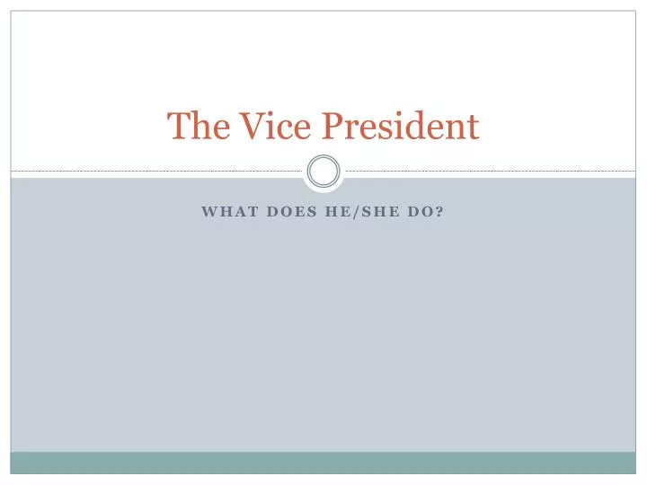 the vice president