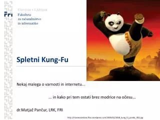 spletni kung fu