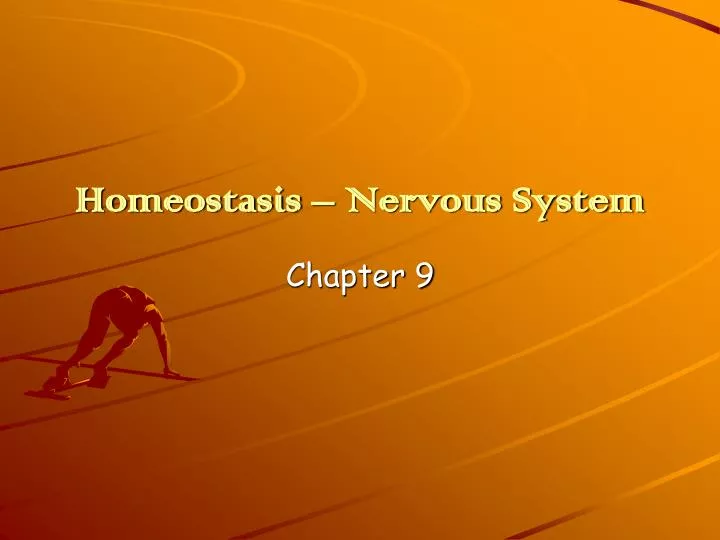 homeostasis nervous system