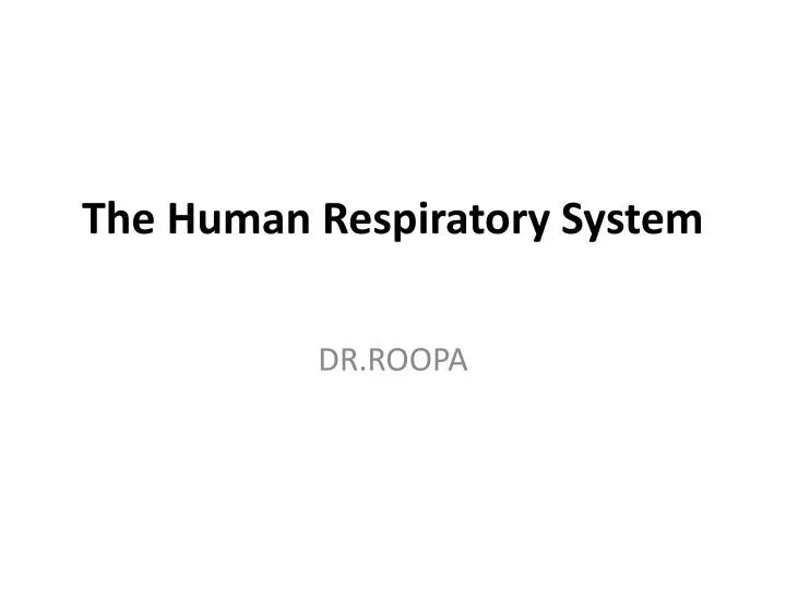 the human respiratory system