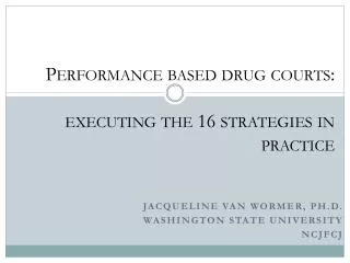 Performance based drug courts: executing the 16 strategies in practice