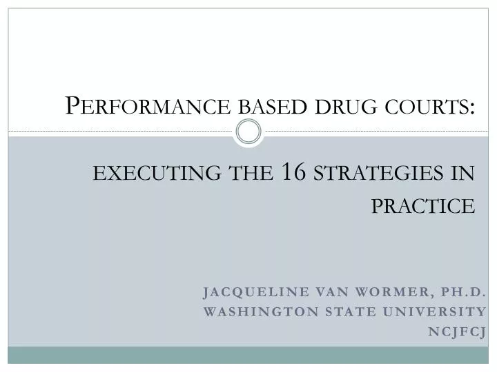 performance based drug courts executing the 16 strategies in practice