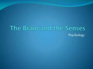 The Brain and the Senses