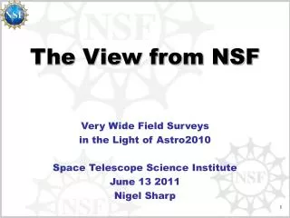 The View from NSF