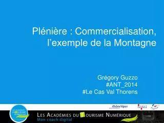 pl ni re commercialisation l exemple de la montagne