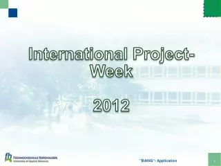 International Project- Week 2012