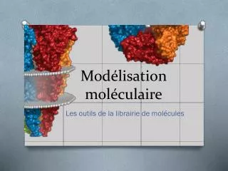 mod lisation mol culaire