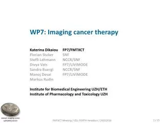 WP7: Imaging cancer therapy