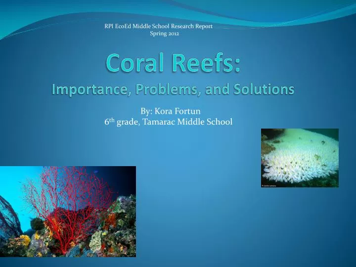 coral reefs importance problems and solutions