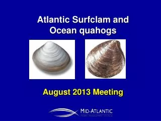 Atlantic Surfclam and Ocean quahogs