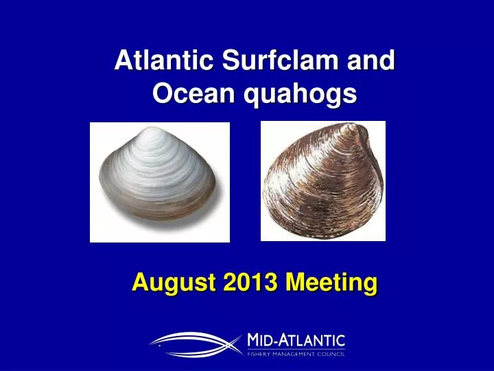atlantic surfclam and ocean quahogs