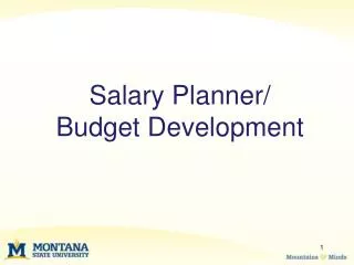 Salary Planner/ Budget Development