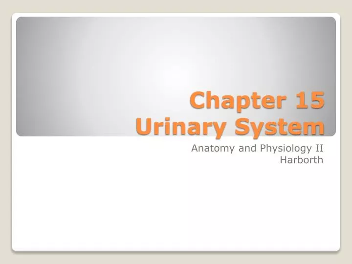 chapter 15 urinary system