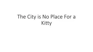 The City is No Place For a Kitty