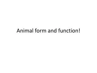 Animal form and function!