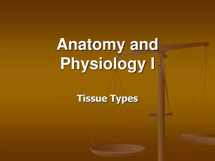 anatomy and physiology i