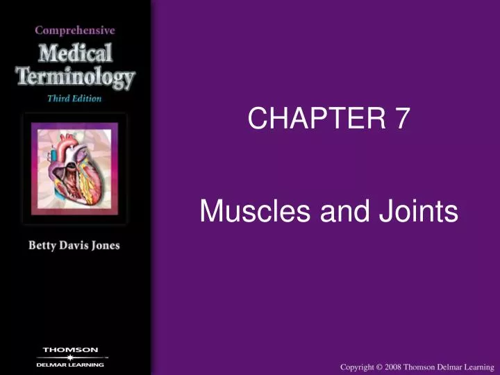 muscles and joints