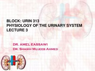 Block: URIN 313 Physiology of THE URINARY SYSTEM Lecture 3