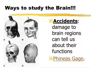 Ways to study the Brain!!!