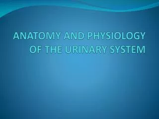 ANATOMY AND PHYSIOLOGY OF THE URINARY SYSTEM