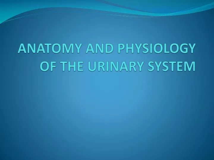 anatomy and physiology of the urinary system