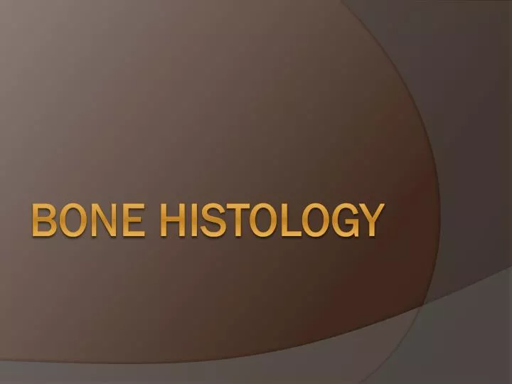 bone histology