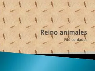 reino animales