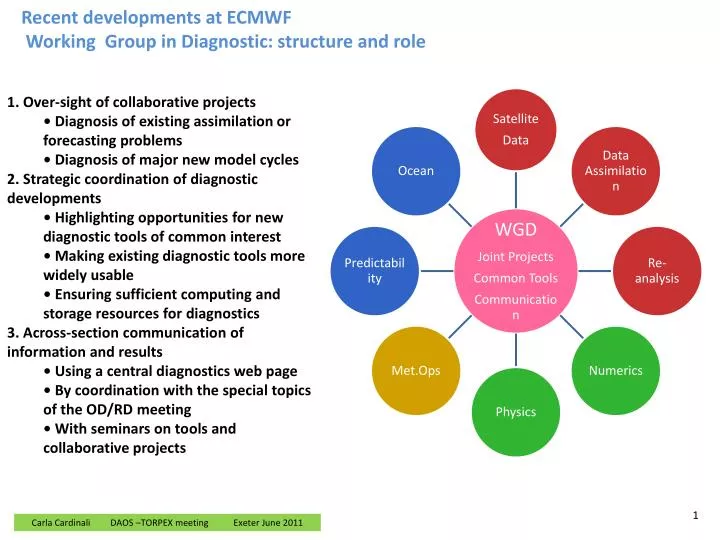 recent developments at ecmwf working group in diagnostic structure and role