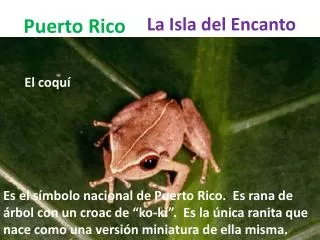 puerto rico