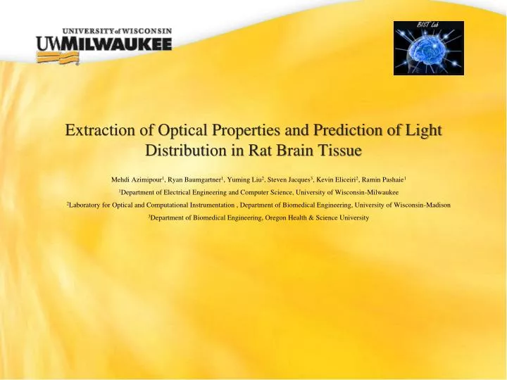 extraction of optical properties and prediction of light distribution in rat brain tissue