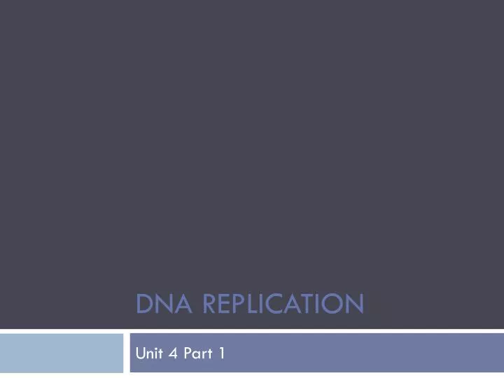 dna replication