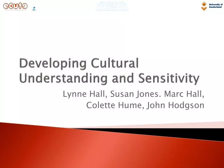 developing cultural understanding and sensitivity