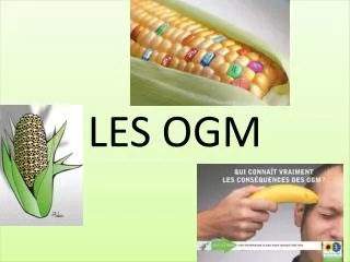les ogm