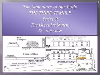 The Sanctuary of our Body THE THIRD TEMPLE Series 9 The Digestive System By : sister rose