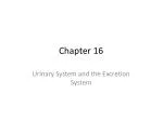 Chapter 16 - slide 1
